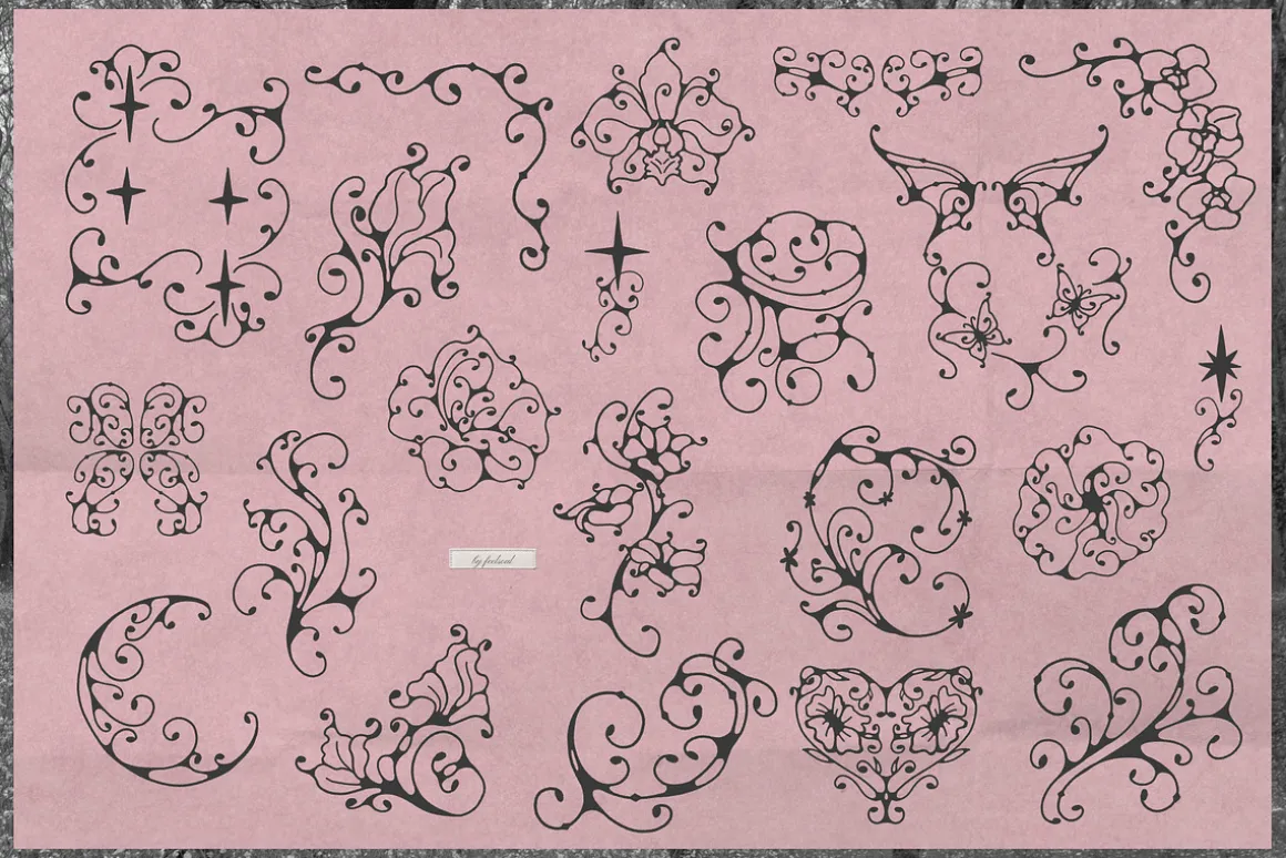 100 Coquette Lines Collection