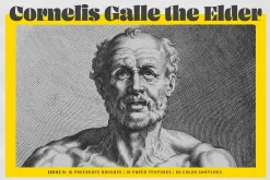 Cornelis Galle Procreate Kit