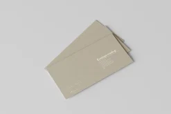 Corporate Envelope Mockups