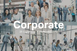 25 Corporate Lightroom Presets LUTs