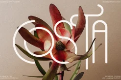 Costa de Malaga - Art Deco Font Pack