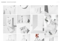 Cotton Handle Paper Gift Bag Mockup