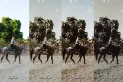 16 Cowboy Lightroom Presets