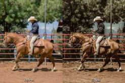 16 Cowboy Lightroom Presets