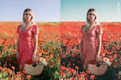 14 Cranberry Lightroom Preset & LUTs