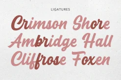 Cream Cake | Bold Script