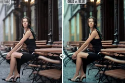 Creative Collection#2 LUTs /Filters
