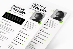 Creative Design Resume CV