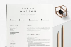 Creative Resume Design Professional