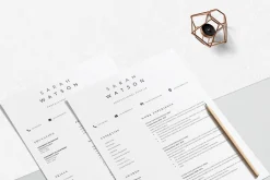 Creative Resume Design Professional