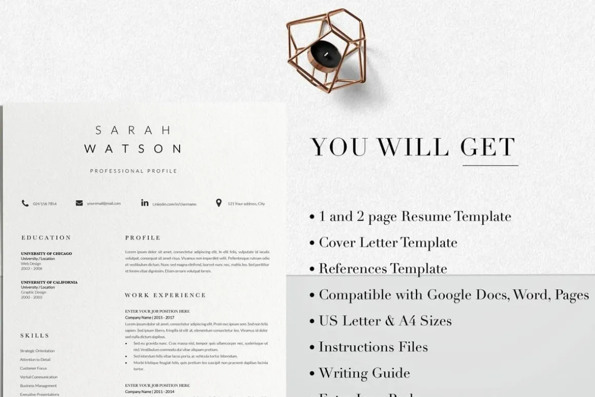 Creative Resume Design Professional