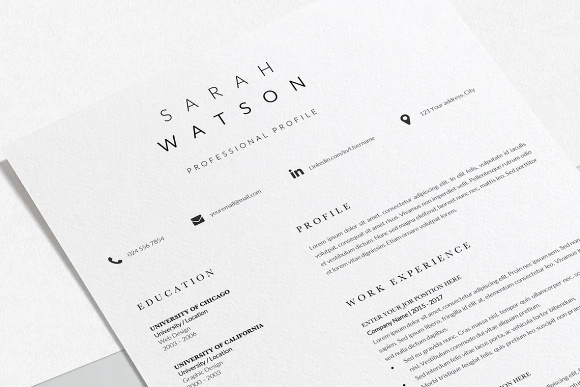 Creative Resume Design Professional