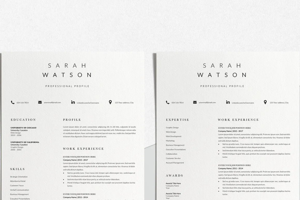 Creative Resume Design Professional