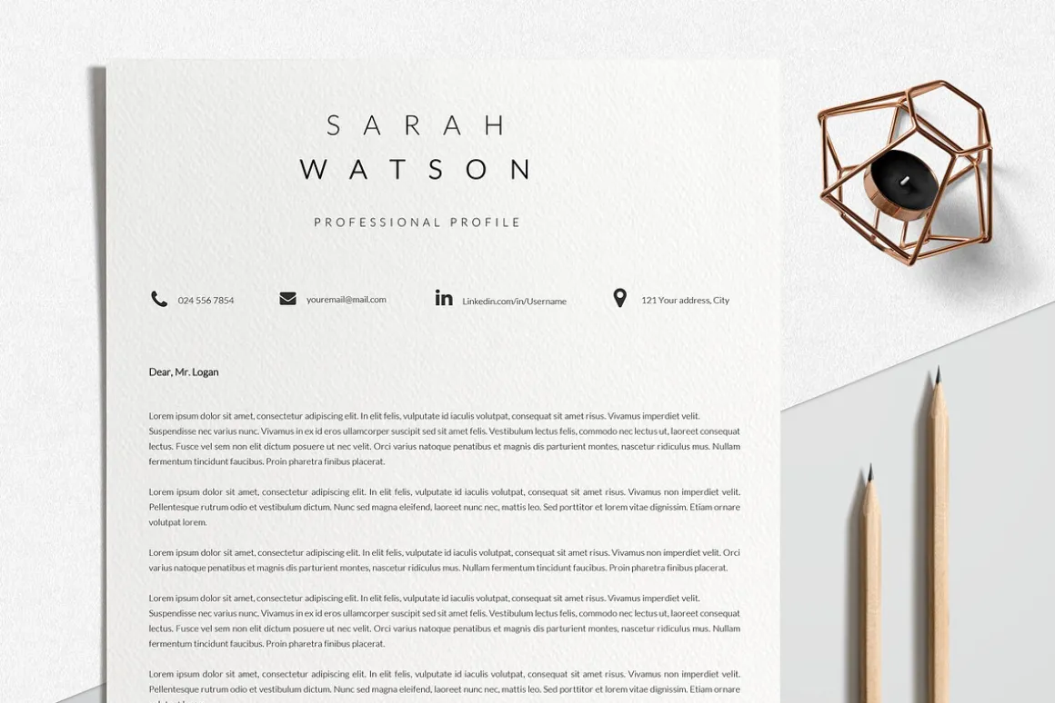 Creative Resume Design Professional