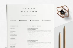 Creative Resume Design Professional