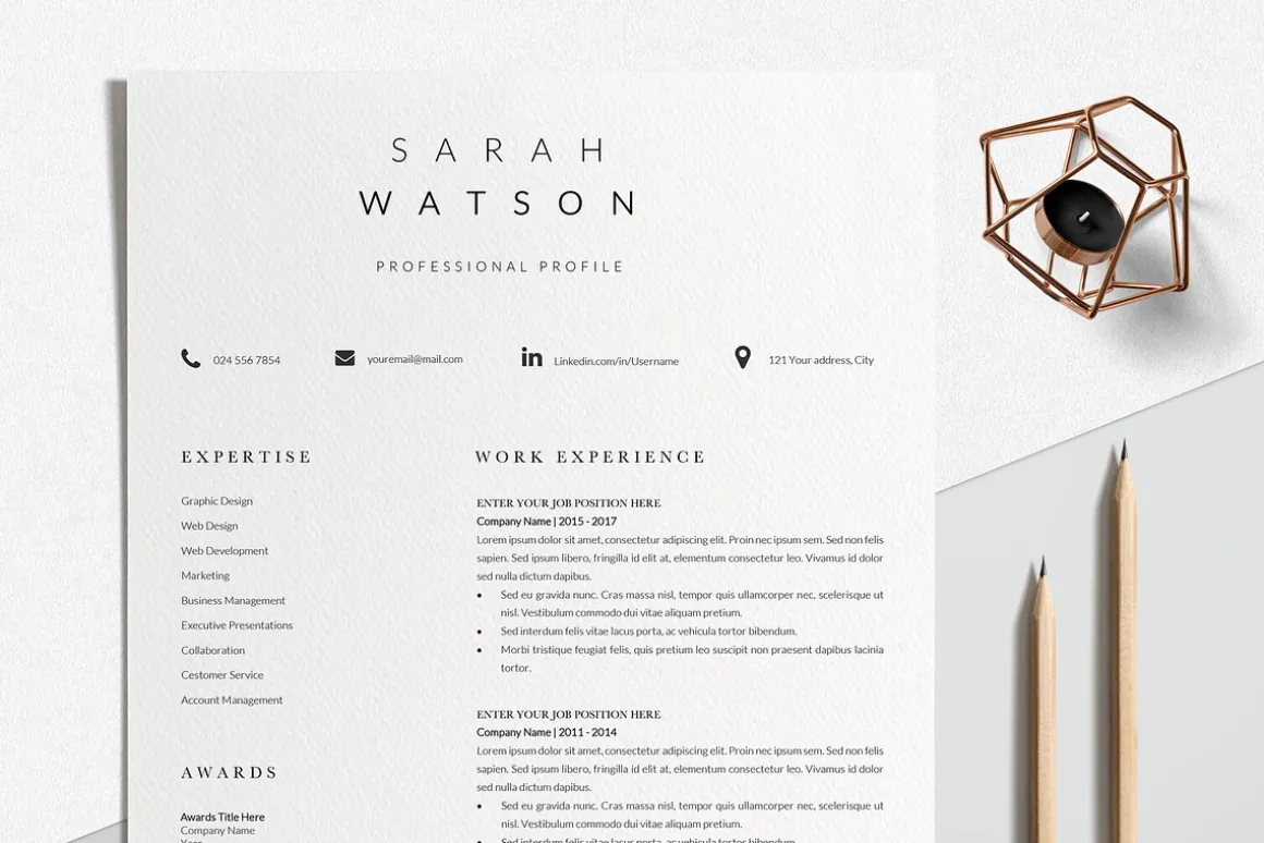 Creative Resume Design Professional