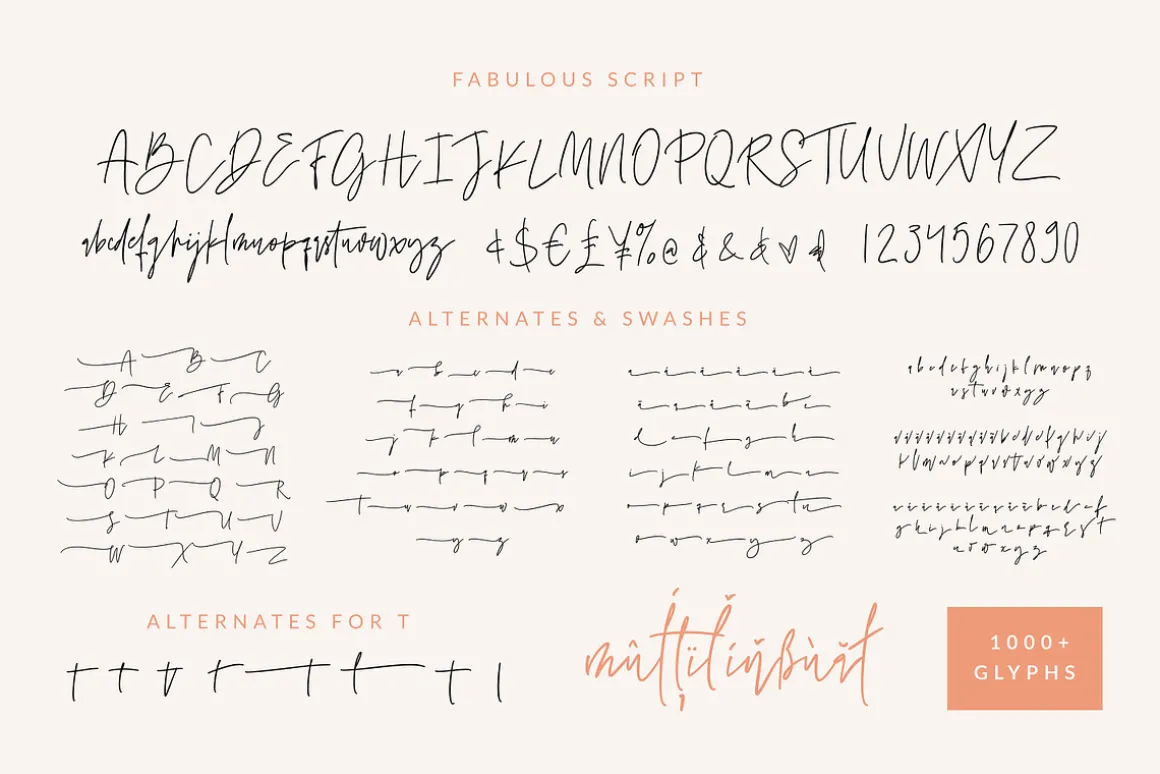 Creative Vintage Font Duo