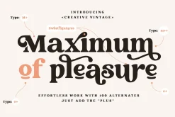 Creative Vintage Font Duo