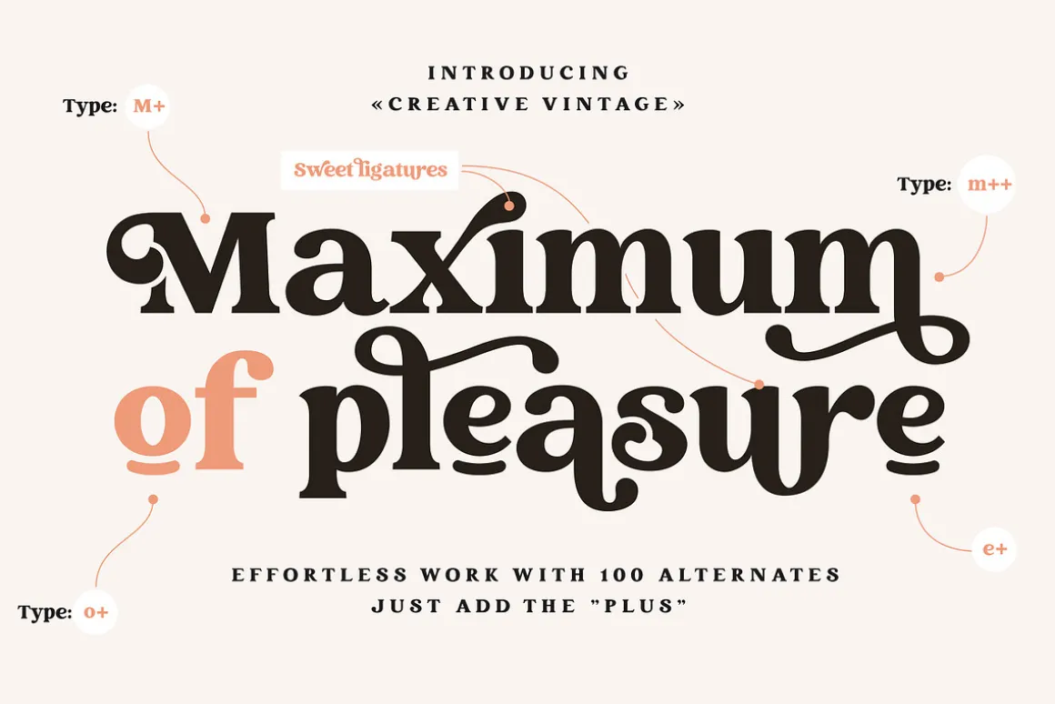 Creative Vintage Font Duo