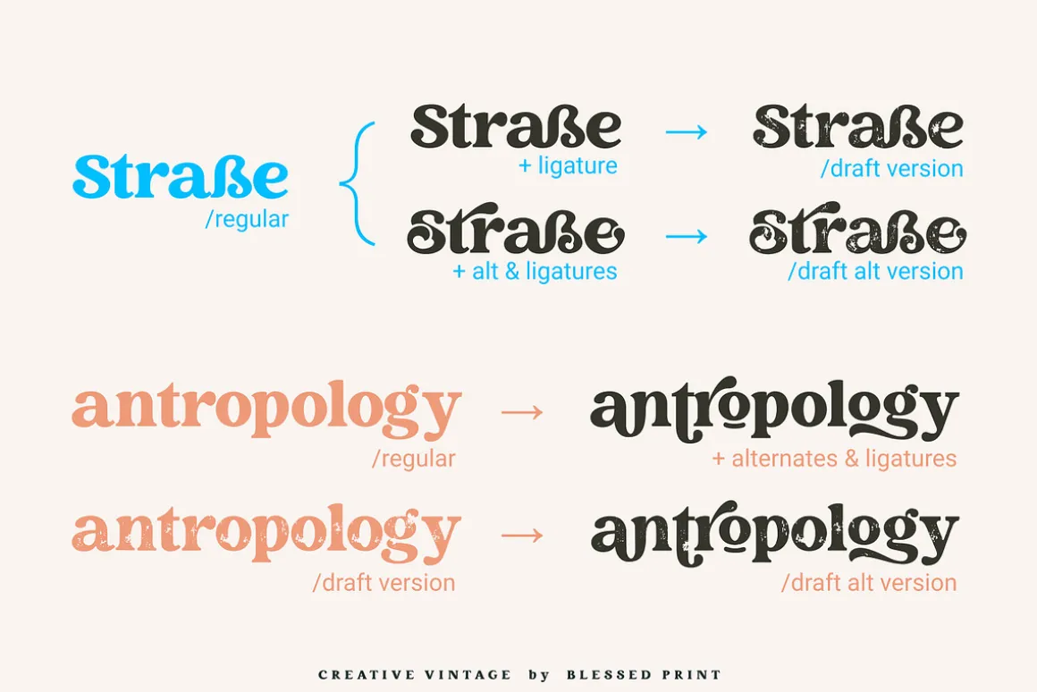 Creative Vintage Font Duo