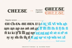 Creative Vintage Font Duo