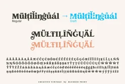 Creative Vintage Font Duo