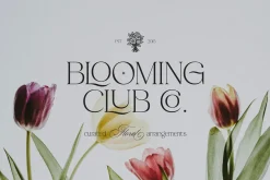 Crosela Font Duo