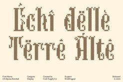 CS Alyona Stitched