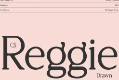 CS Reggie Drawn