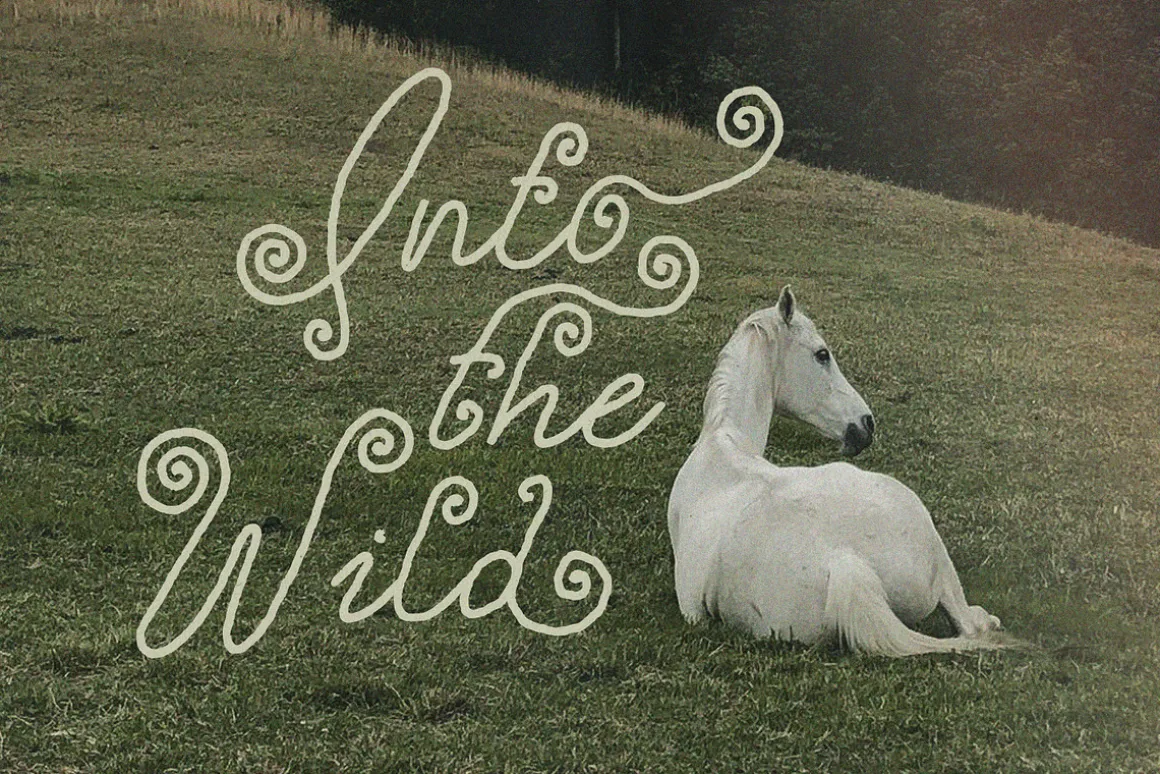 Curly Story Cute Script Font