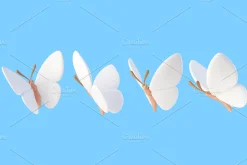 Cute 3D white Butterflies icons