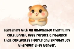 Cute Fluffy - Handwritting