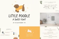 Cute Font BUNDLE