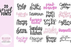 CUTE SCRIPT FONT BUNDLE V.1