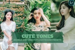 Cute Tones Lightroom Presets