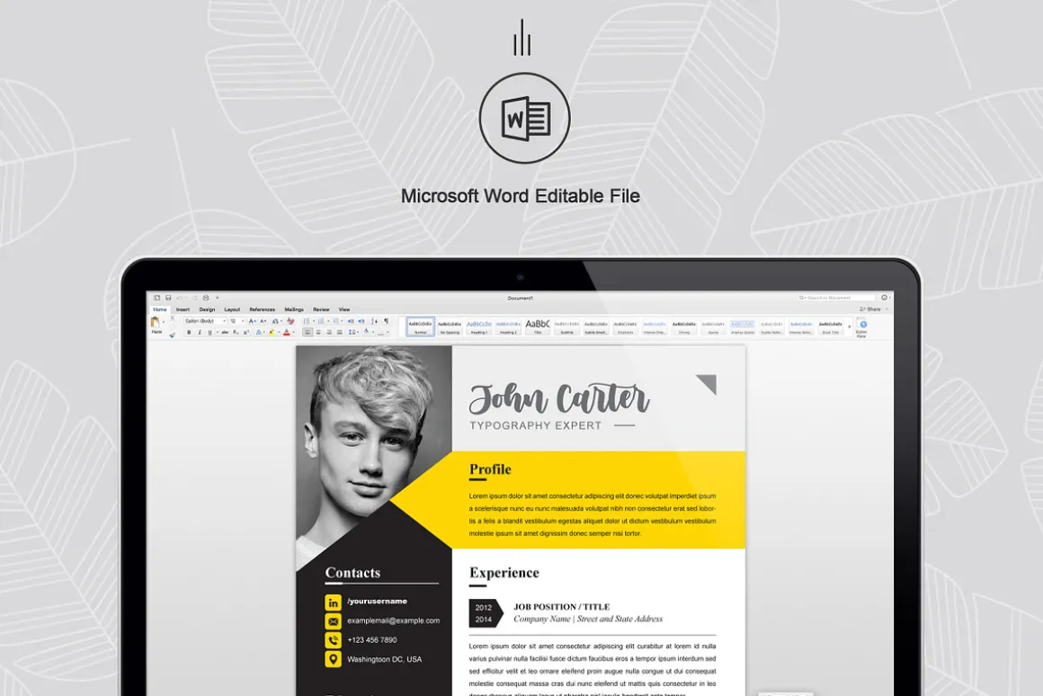 CV for Typography Expert | Resume