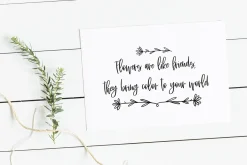 Daisies, Vector, PNG, SVG