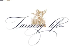 Dalgond Script