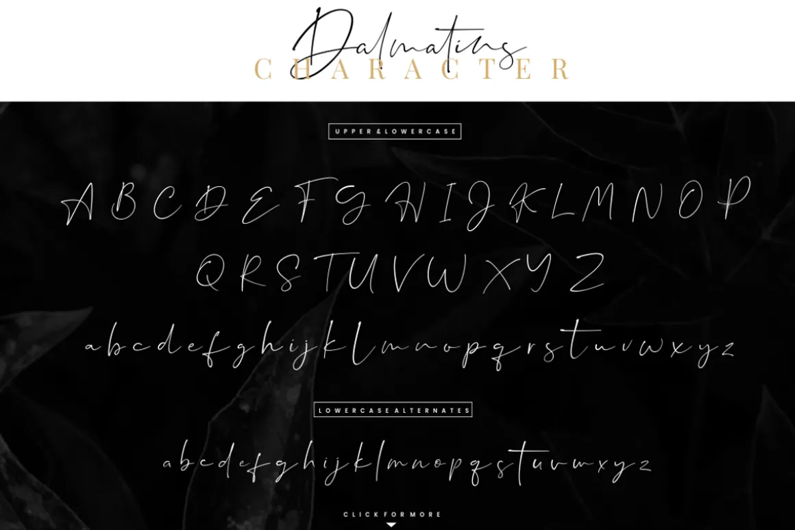 Dalmatins // Elegant Signature Font