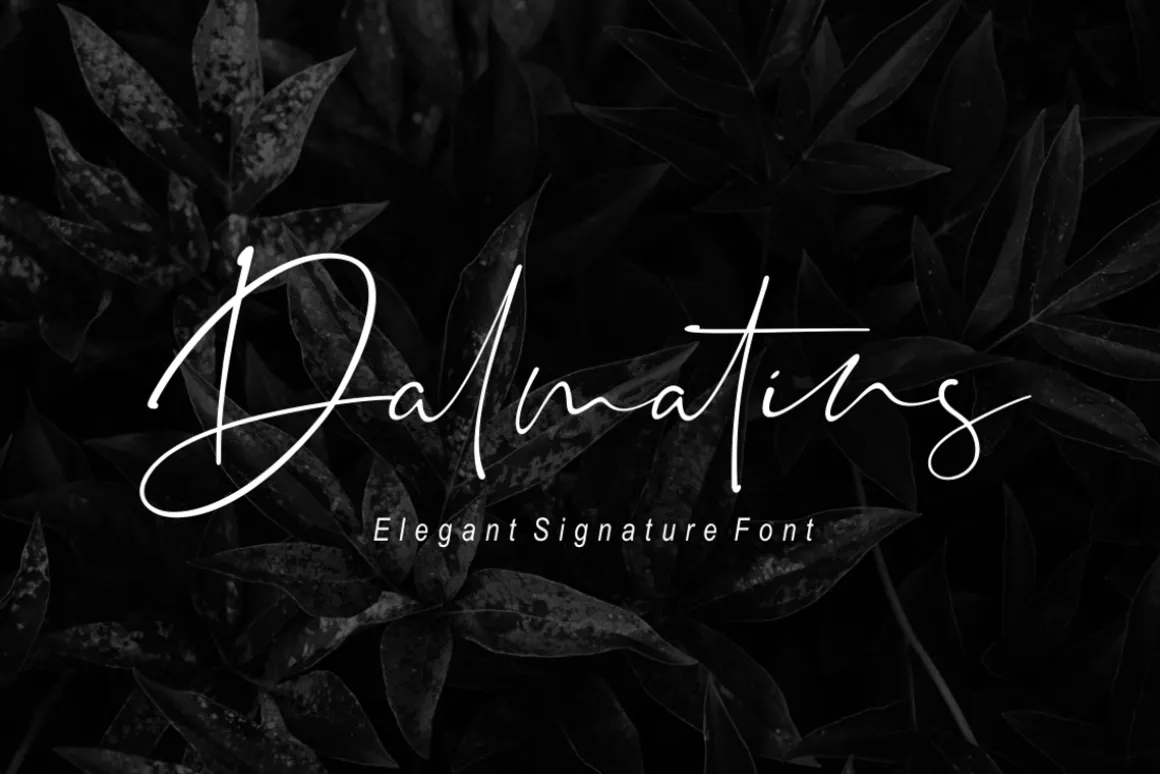 Dalmatins // Elegant Signature Font