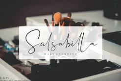 Dalmatins // Elegant Signature Font