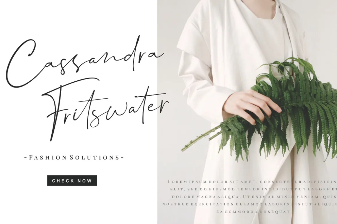 Dalmatins // Elegant Signature Font