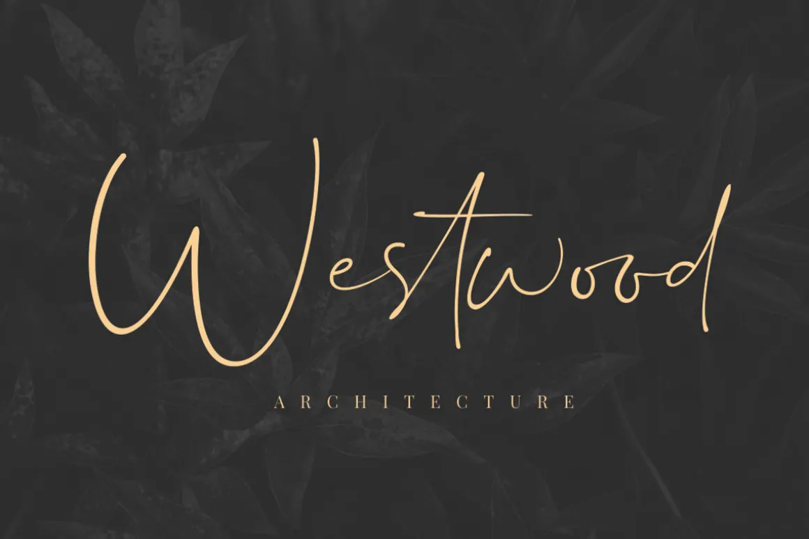 Dalmatins // Elegant Signature Font