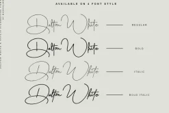 Dalton White 4 Font Style
