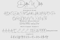 Dalton White 4 Font Style