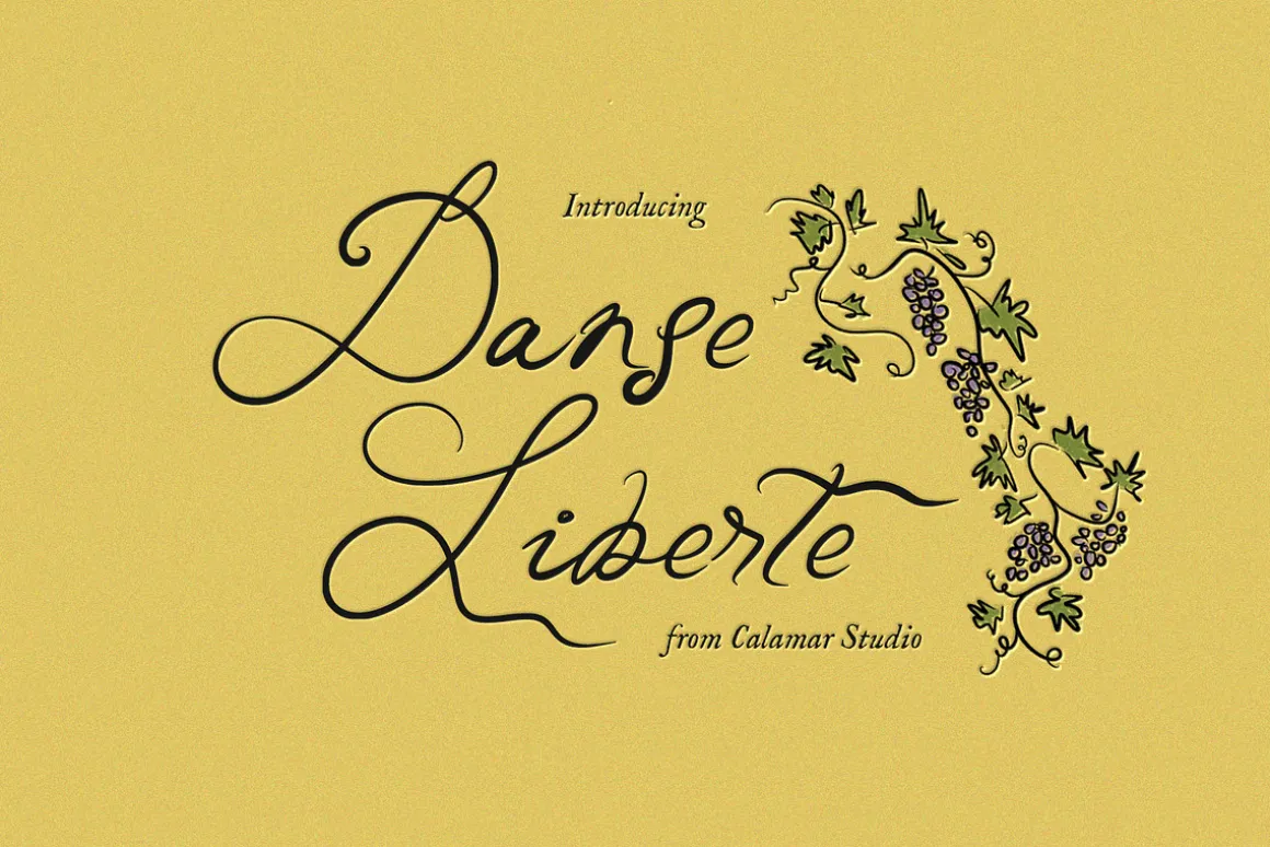 Danse Liberte Handwritten Font