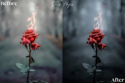 14 Dark and Moody Lightroom Presets