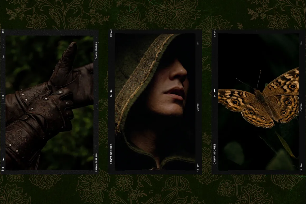 Darkwood Aesthetic Video Bundle