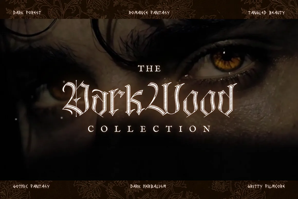 Darkwood Aesthetic Video Bundle