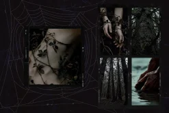 Darkwood Aesthetic Video Bundle